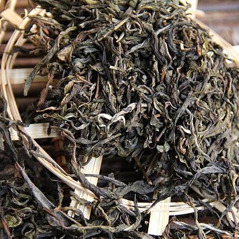 普洱生茶的纯料古树春茶 品味时光的馈赠